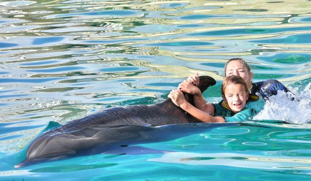 Emma a nagé avec les dauphins