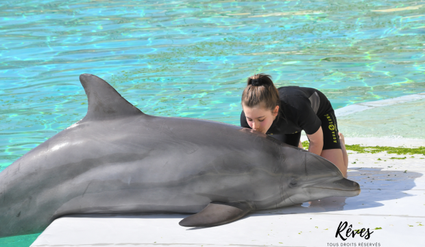 Swetlana  a approché les dauphins