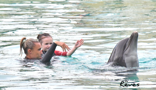 Zoé a nagé avec les dauphins