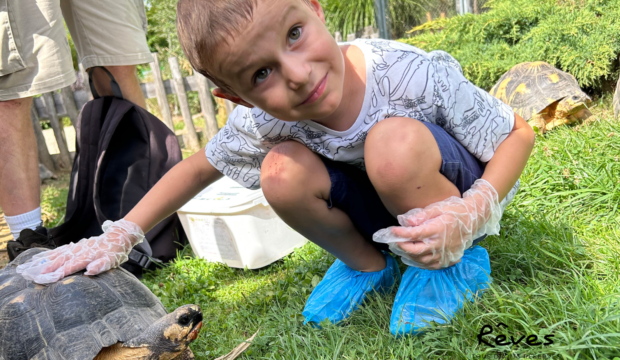 SANDRO a fait un séjour au zoo de Beauval