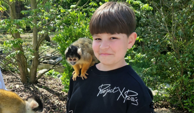 Sacha a fait un séjour au Zoo Pairi Daiza en famille