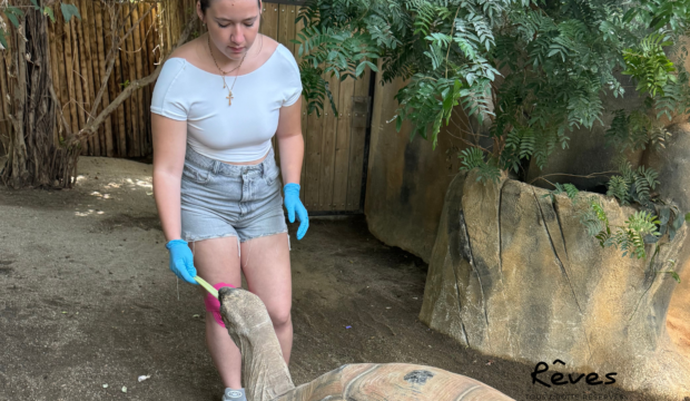 Charline  a fait un séjour au Puy Du Fou