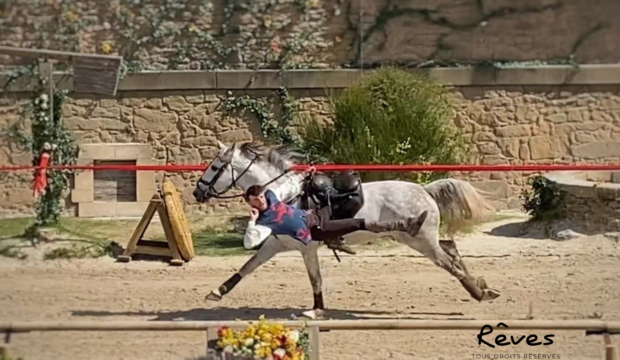 Alexandre a fait un séjour au Puy Du Fou