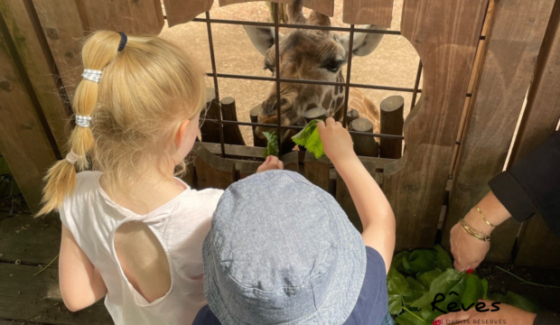 Pierre  a fait un séjour au Zoo Pairi Daiza en famille